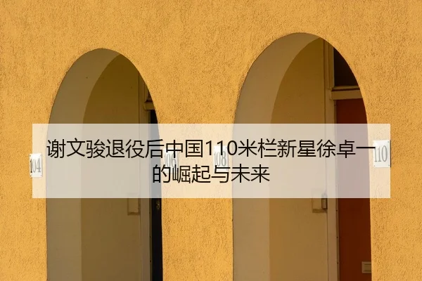 谢文骏退役后中国110米栏新星徐卓一的崛起与未来