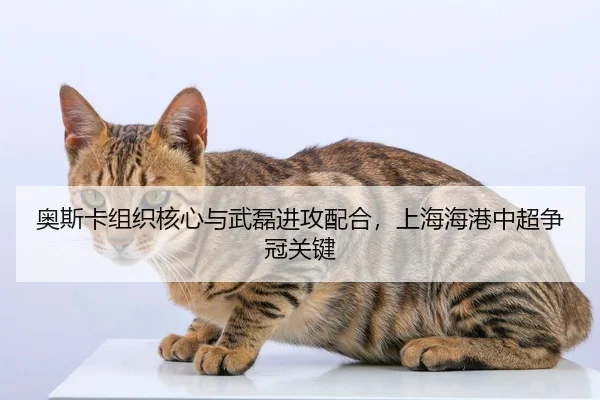 ao-si-ka-zu-zhi-he-xin-yu-wu-lei-jin-gong-pei-he-shang-hai-hai-gang-zhong-chao-zheng-guan-guan-jian-2-751.jpg