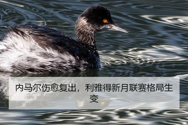 nei-ma-er-shang-yu-fu-chu-li-ya-de-xin-yue-lian-sai-ge-ju-sheng-bian-3-568.jpg