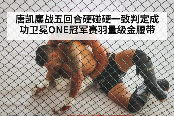唐凯鏖战五回合硬碰硬一致判定成功卫冕ONE冠军赛羽量级金腰带